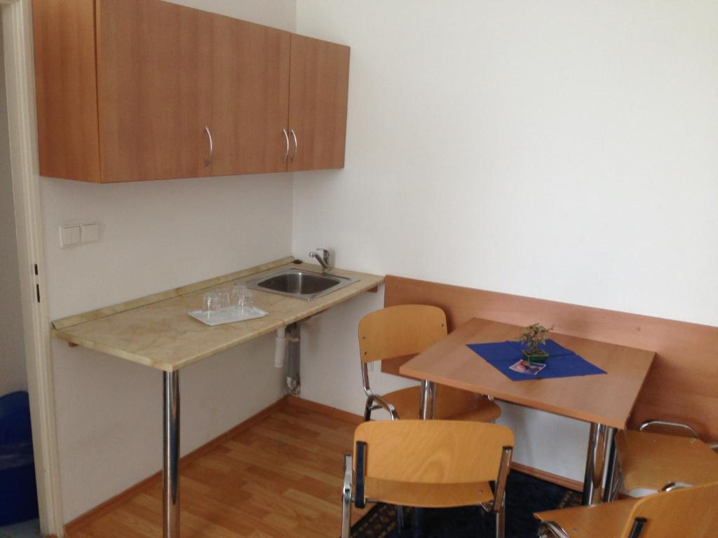 Kuchyň nebo kuchyňský kout v ubytování Hotel Prim