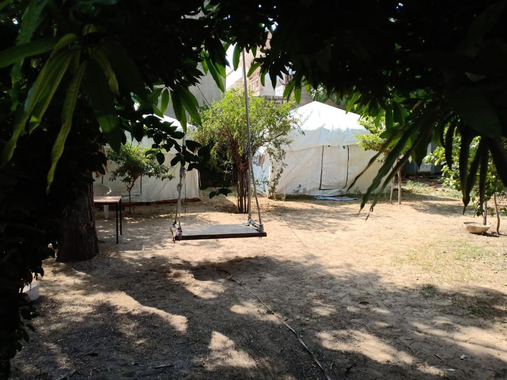 - une balançoire dans une cour avec des arbres et une tente dans l'établissement Nature Trail camps & Homestay, à Jodhpur