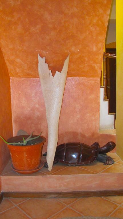 Fotografie z fotogalerie ubytování Hotel MiraBela v destinaci Santa Maria
