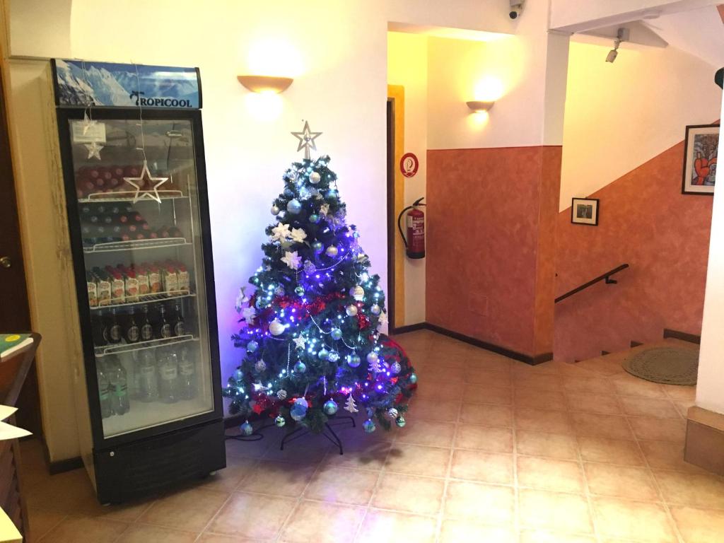 Fotografie z fotogalerie ubytování Hotel MiraBela v destinaci Santa Maria