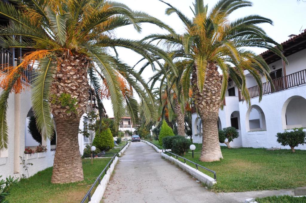 een rij palmbomen in een straat bij Modern Apartment 100m. from the Sea in Skála Foúrkas