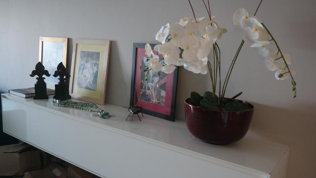  LUXUOSO APARTAMENTO BARRA ONDINA Beira MAR