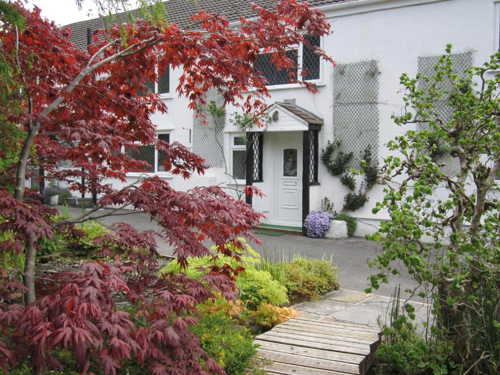 Uma casa branca com uma árvore vermelha à frente. em Cwmbach Guest House em Neath