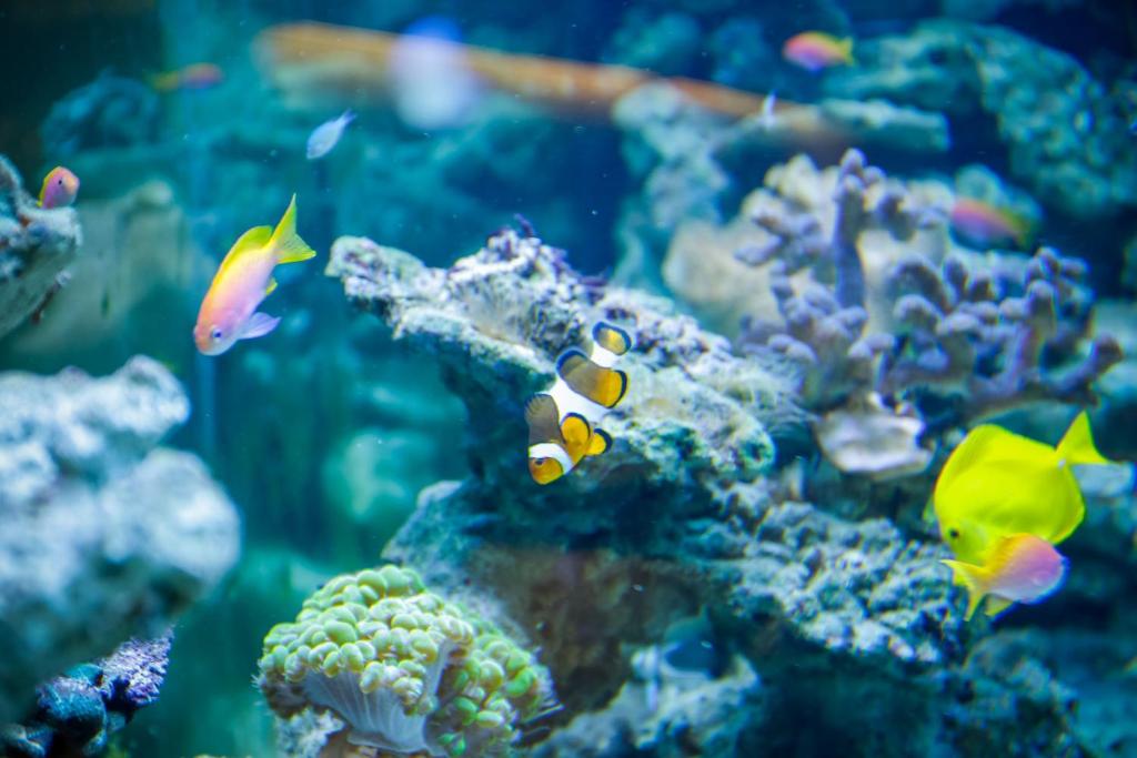 Boutiquehotel Das Tyrol - Resim 33