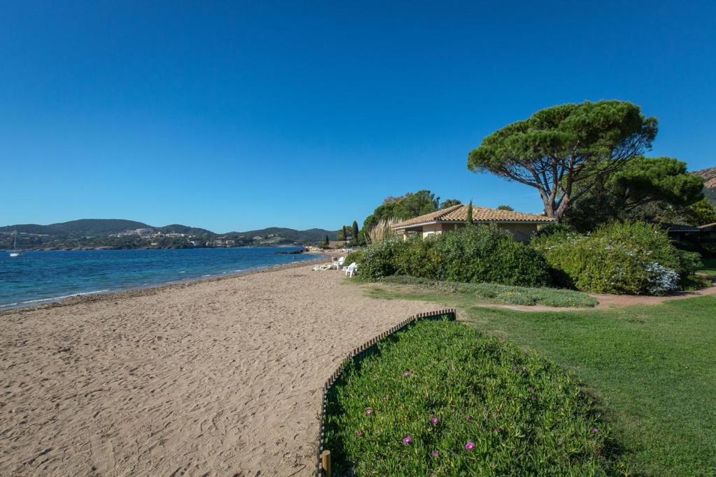 una playa de arena con una casa y un árbol en Résidence Agathos (un jardin sur la plage), en Agay - Saint Raphael