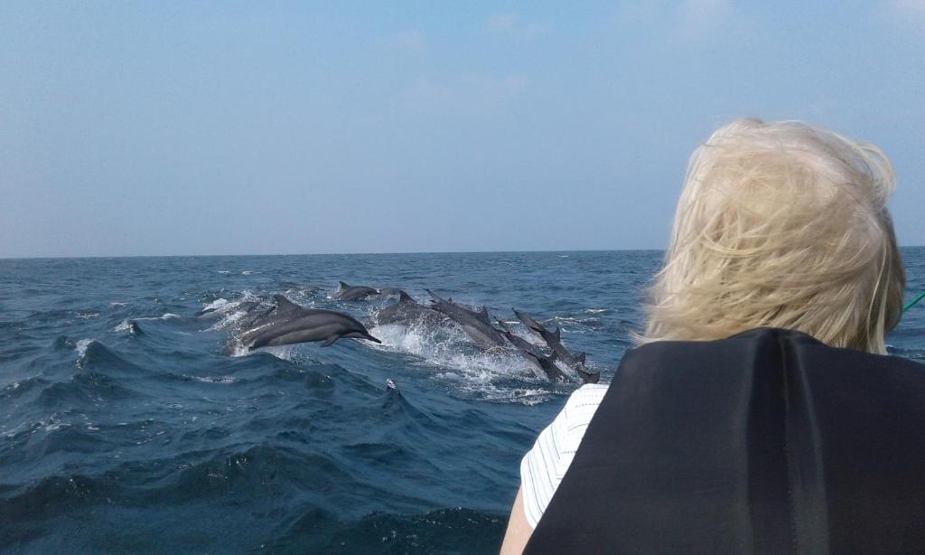a woman on a boat looking at dolphins in the water at Kalpitiya Guest House in Kalpitiya