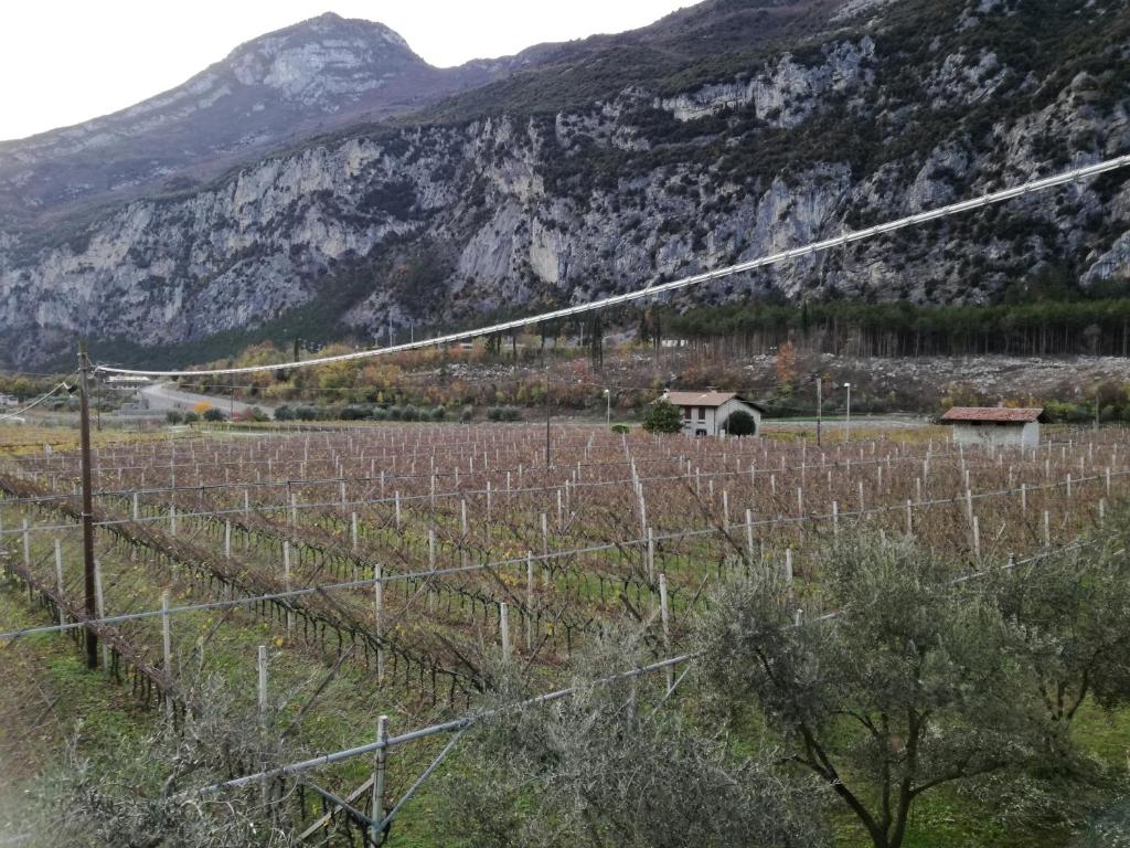 Príroda v okolí hotela