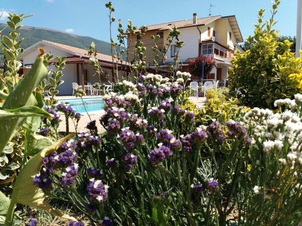 un jardín con flores púrpuras frente a una casa en Bed & Breakfast Ciancaleoni, en Rivotorto