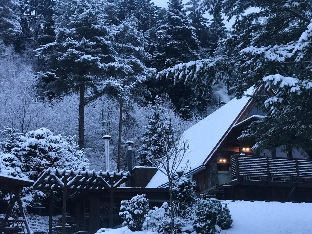 Chata Dorotka during the winter