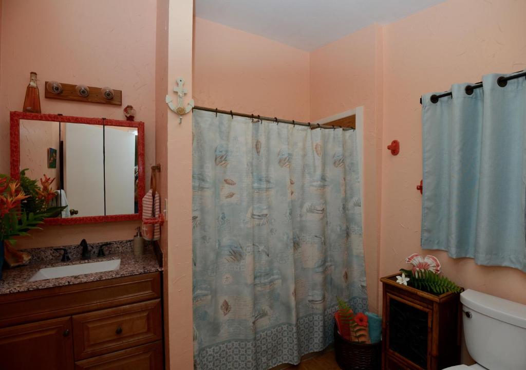 Koupelna v ubytování Kalani Hawaii Private Lodging