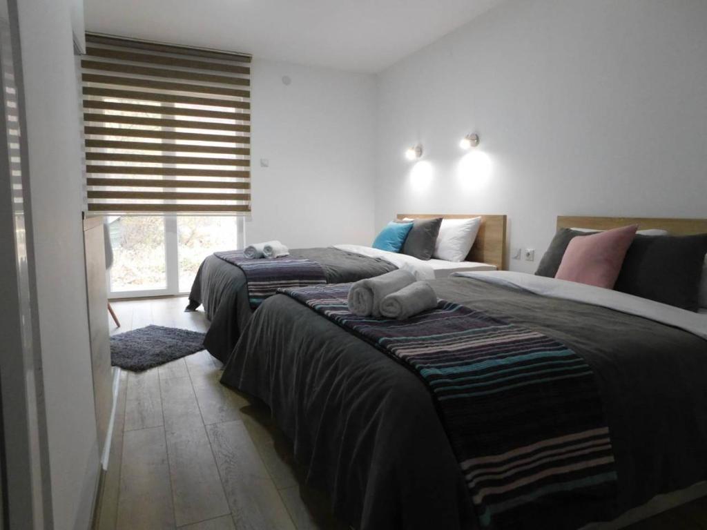 een slaapkamer met 2 bedden en een raam bij Vila Vrh in Crni Vrh