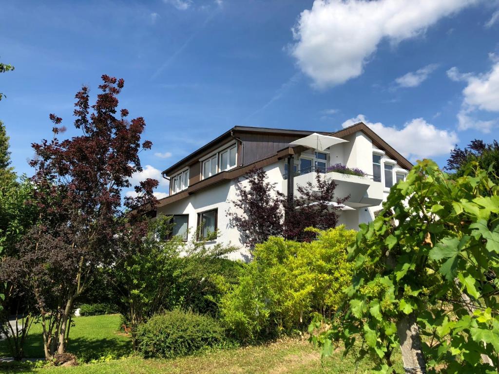 une maison blanche avec des arbres devant elle dans l'établissement Boutique-Hotel im Weingarten, à Müllheim