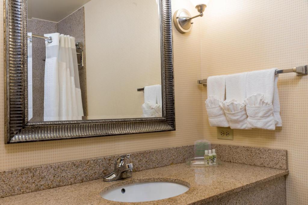 Holiday Inn Aurora North - Naperville by IHG - Standard Room