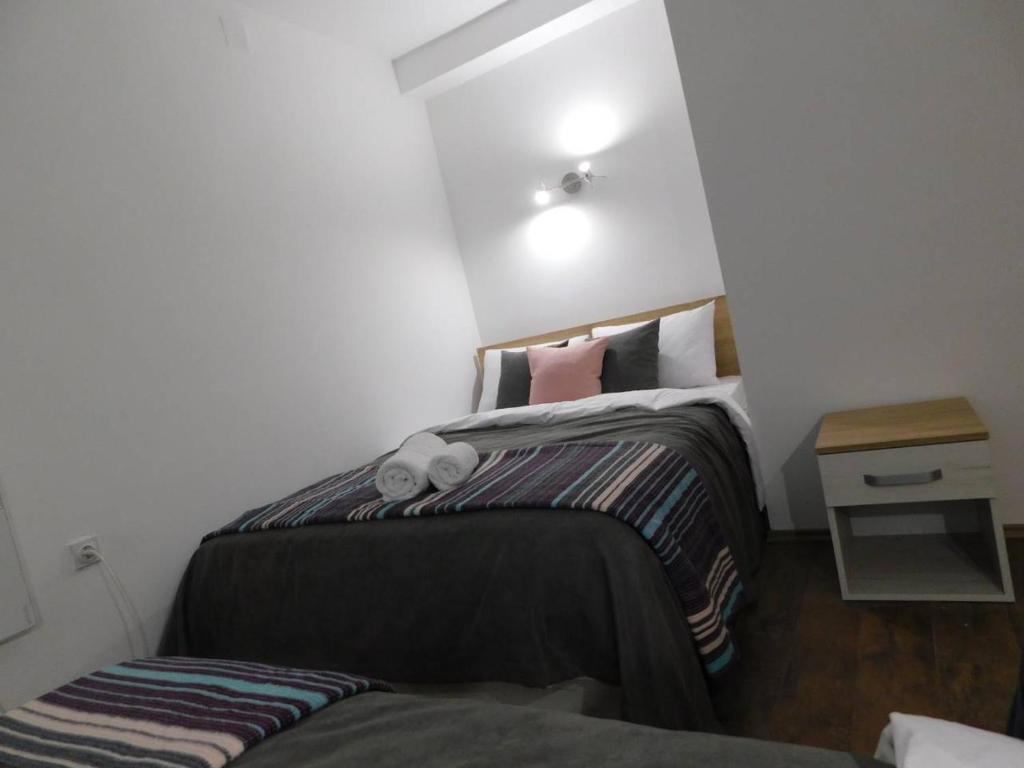 a small bedroom with two beds in a room at Vila Vrh in Crni Vrh