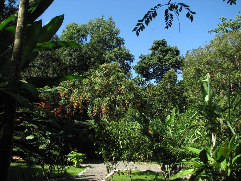Zahrada ubytování Danta Corcovado Lodge