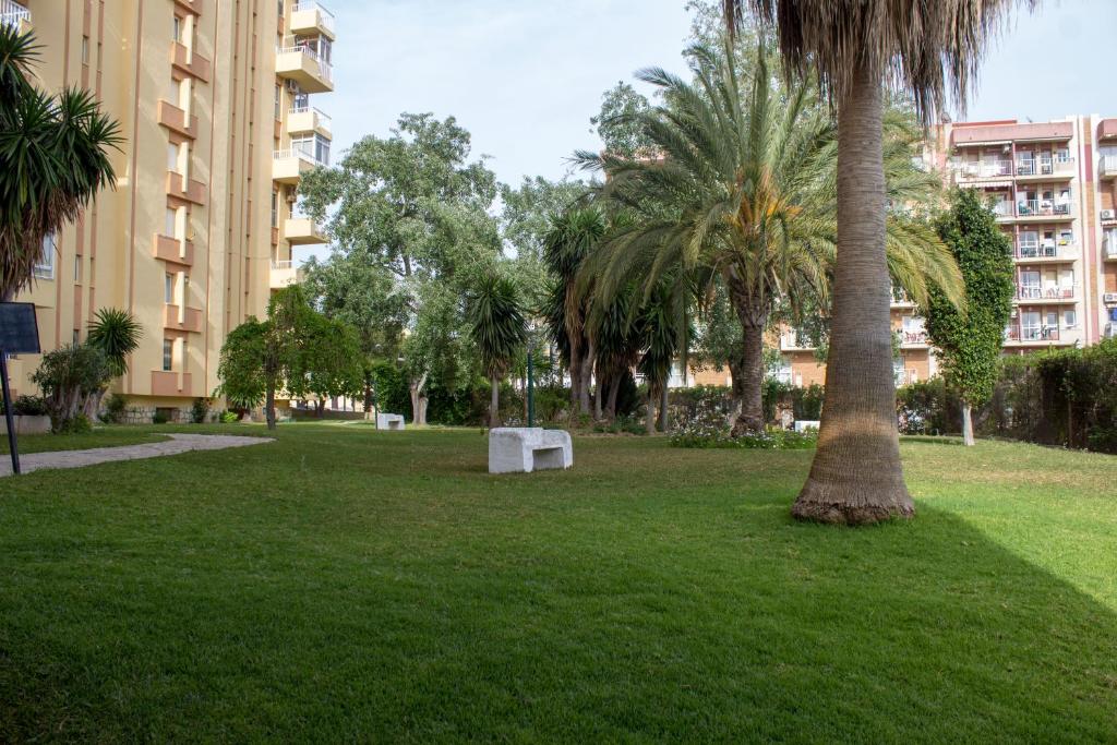 a park with a bench next to a palm tree at Apartamento Aguila in Benalmádena
