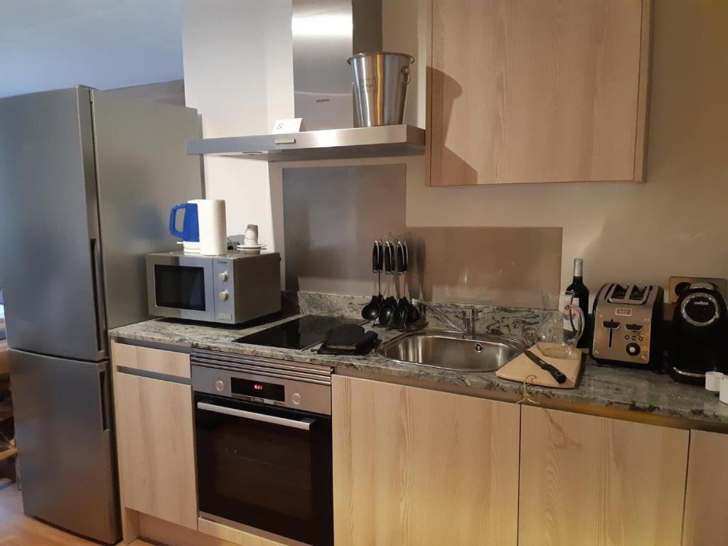 Kuchyň nebo kuchyňský kout v ubytování Le Grizzly Luxe Location