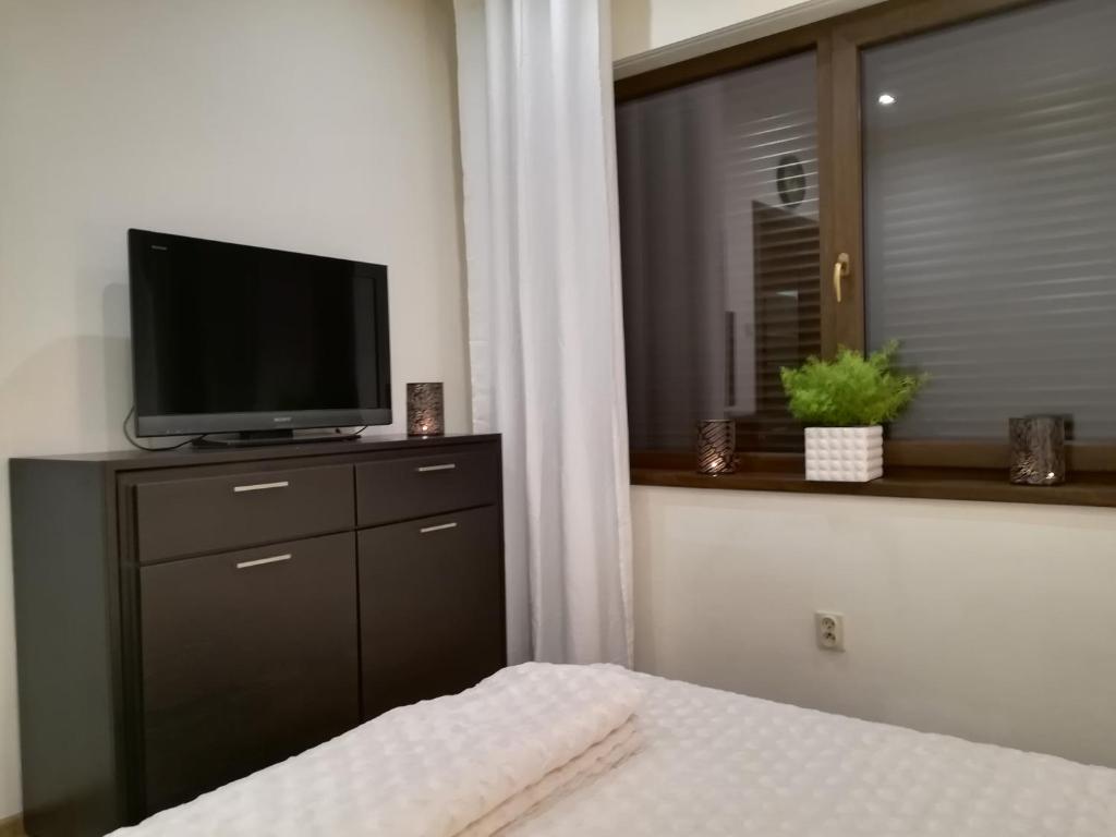Televízia a/alebo spoločenská miestnosť v ubytovaní Apartament wSPAniały.