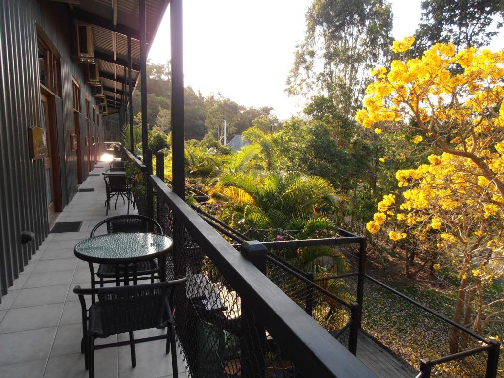 Balkón nebo terasa v ubytování Daintree Wild Bed & Breakfast