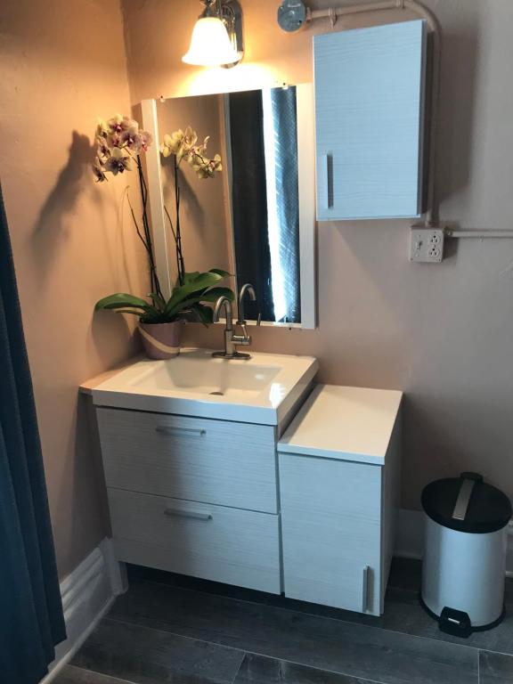 Kuchyň nebo kuchyňský kout v ubytování Luz Hotel