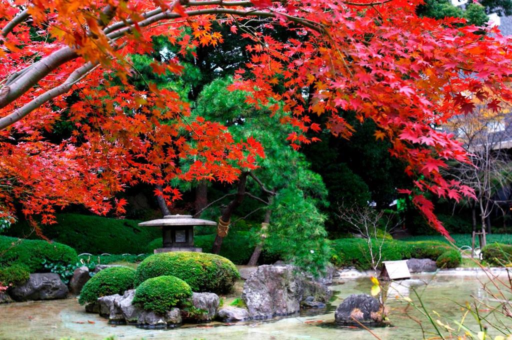 a garden with red leaves on a tree at Grand Prince Hotel Takanawa in Tokyo