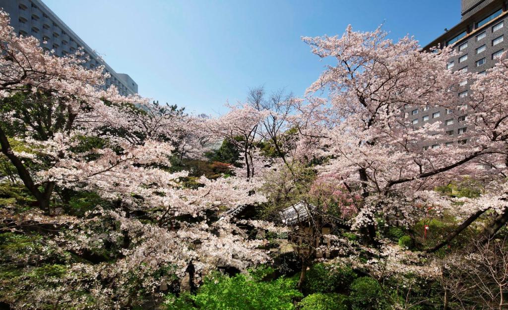 Zahrada ubytování Takanawa Hanakohro - in Grand Prince Hotel Takanawa