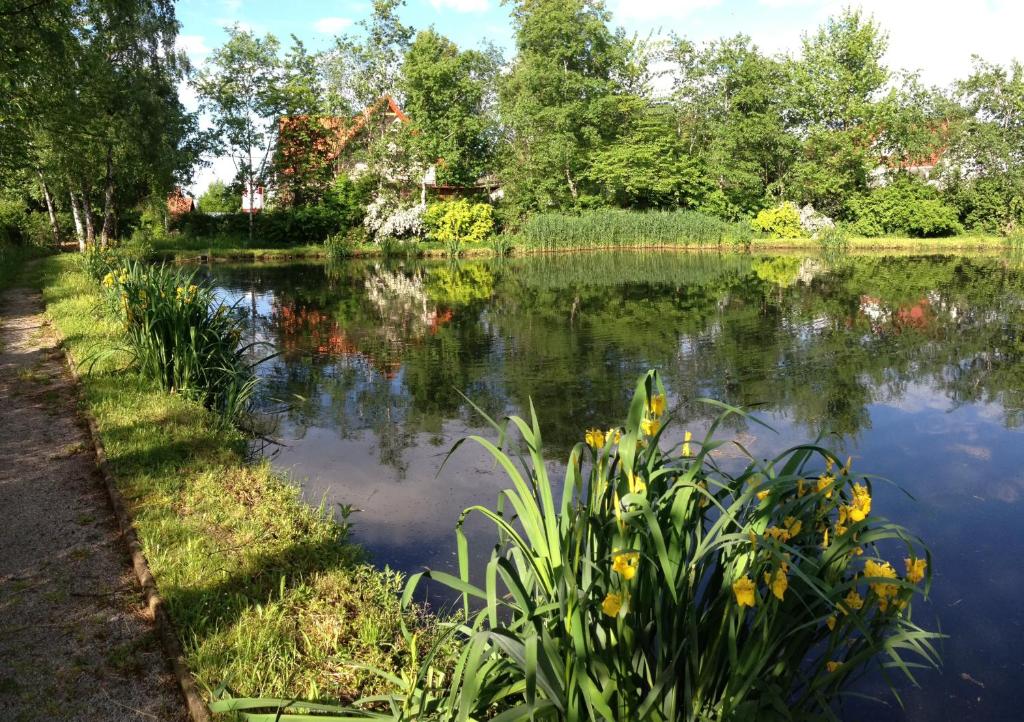 DORMERO SeHo Graz - Resim 9