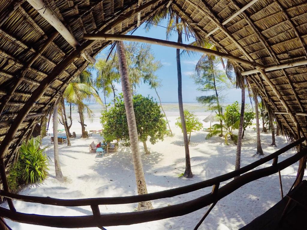 a view of a beach with palm trees and a hammock at Evergreen Bungalows in Bwejuu