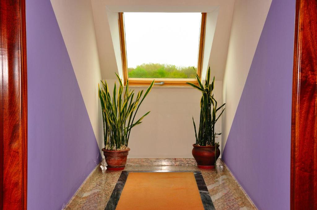 Hotel Castro - Resim 45