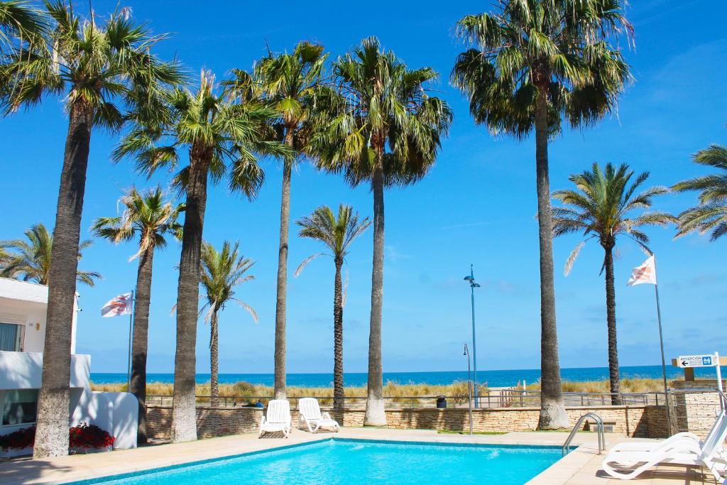a swimming pool with palm trees and the ocean at Apartamentos Tamarindos Peñiscola in Peniscola