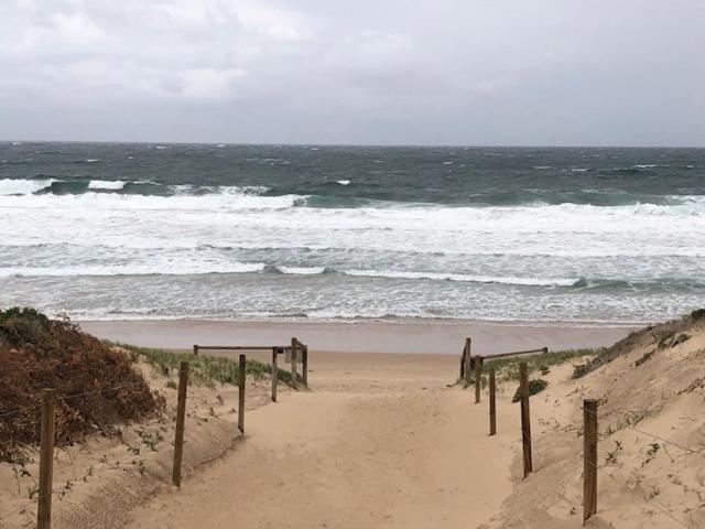 a sandy beach with a path to the ocean at Beachfront Living Cronulla in Cronulla