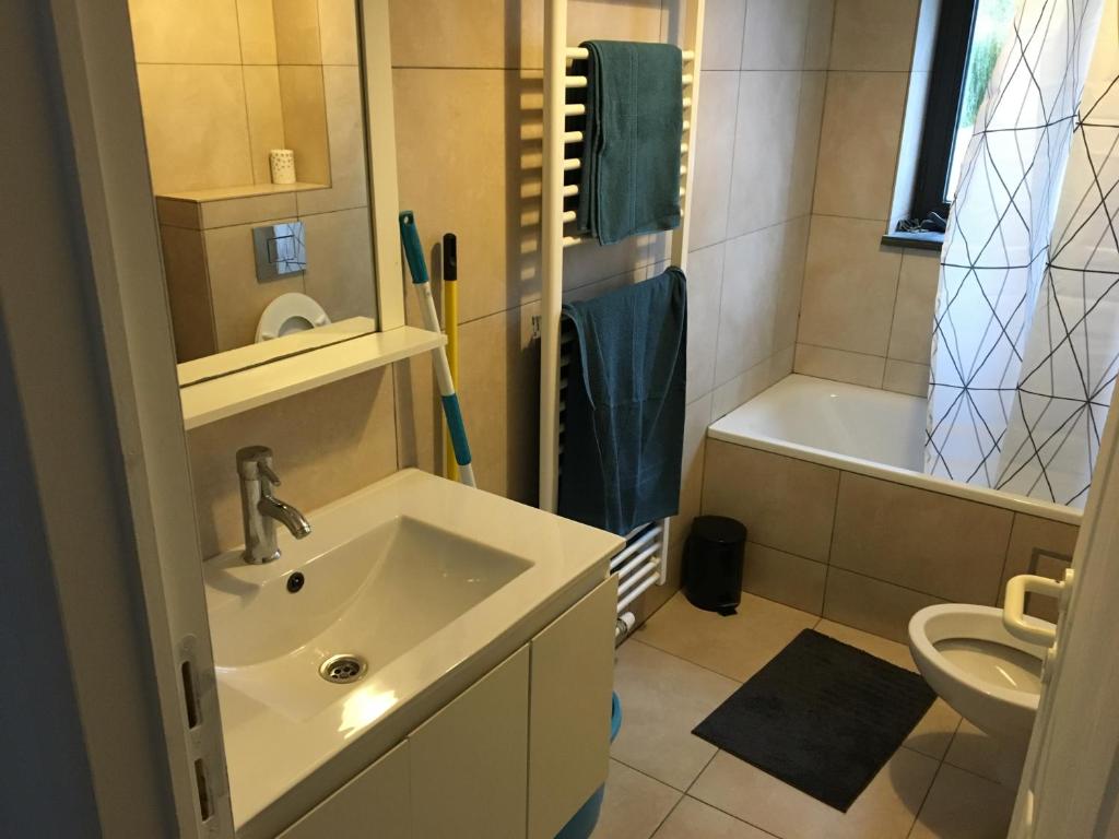 Koupelna v ubytování Appartement Courcelles