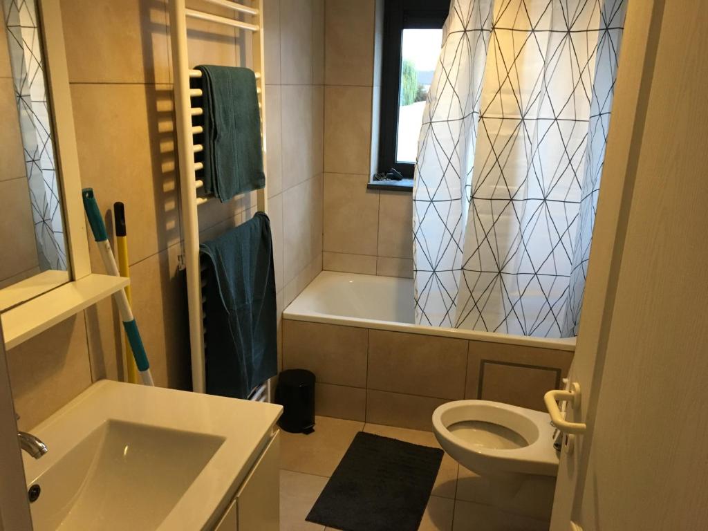Koupelna v ubytování Appartement Courcelles