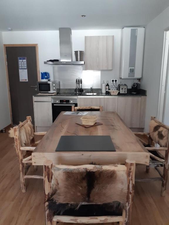 Kuchyň nebo kuchyňský kout v ubytování Le Grizzly Luxe Location