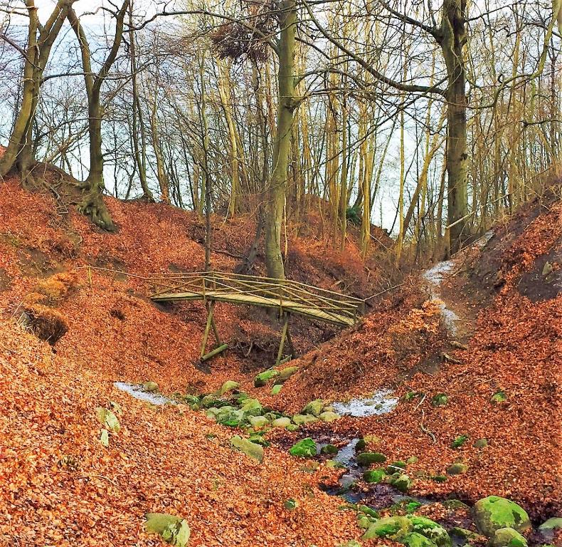 Paesaggio naturale nelle vicinanze della casa vacanze