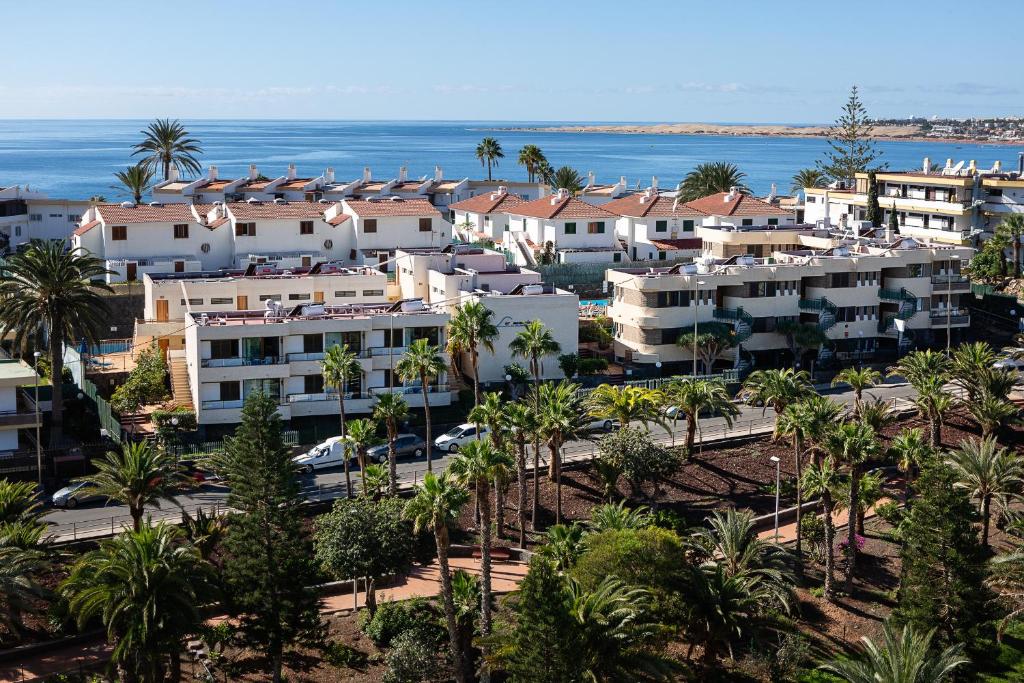 una vista aérea de un complejo con palmeras y el océano en Apartamentos Los Manueles, en San Agustín