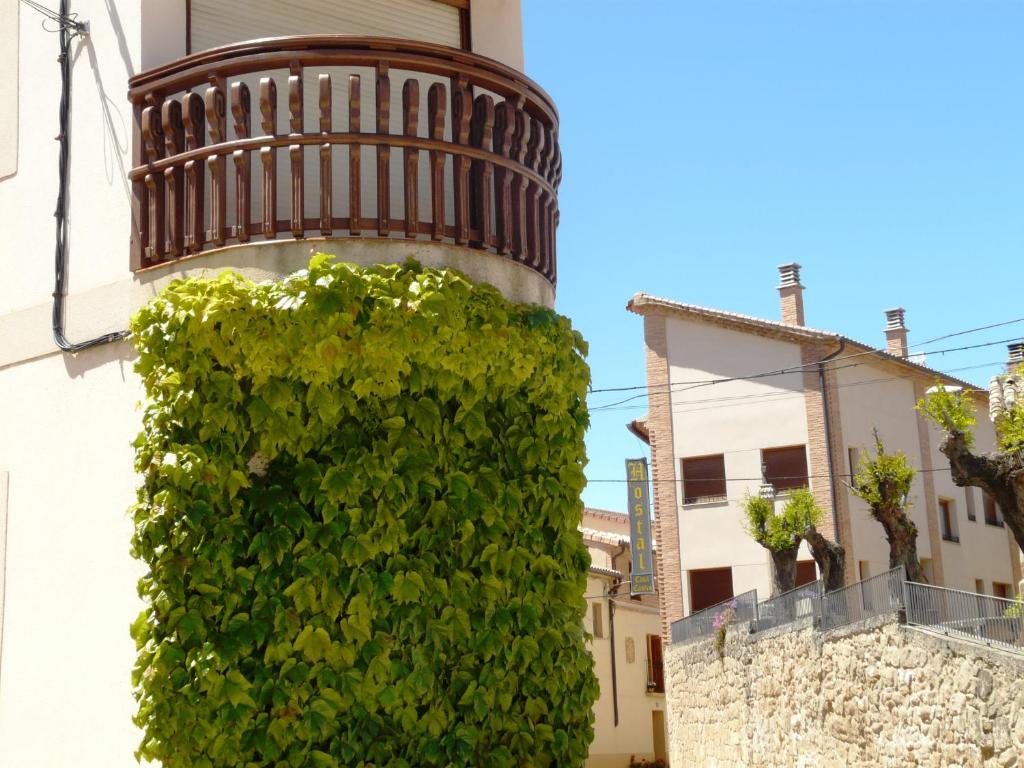 um arbusto verde na lateral de um edifício em Hostal Rural Casa Castro em Alberuela de la Liena