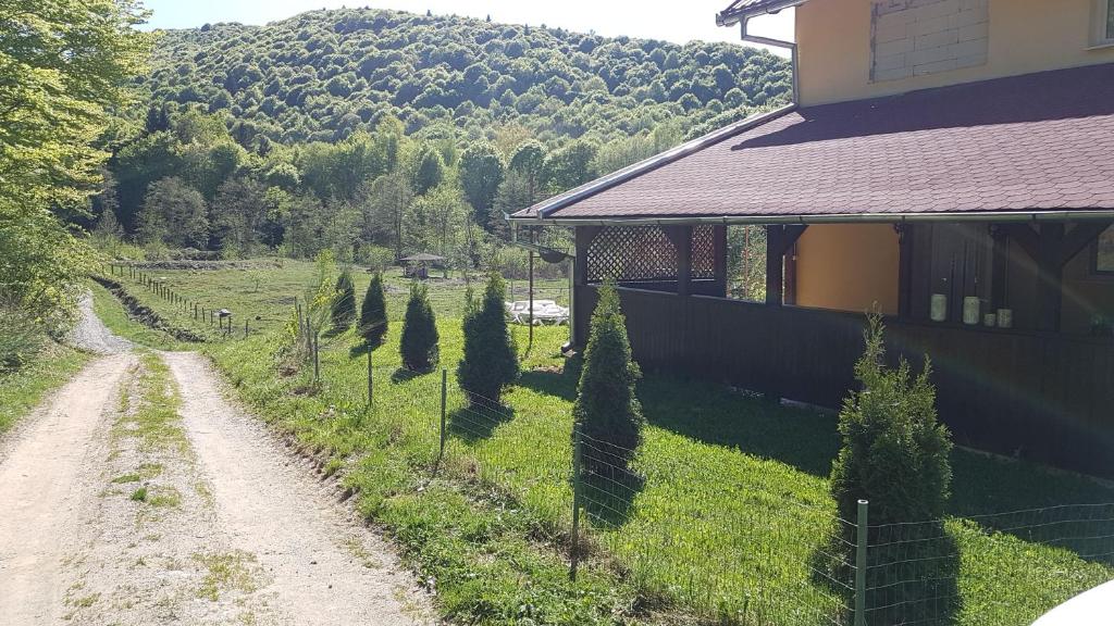 a dirt road next to a house with a fence and trees at Casa Alina in Arpaşu de Sus