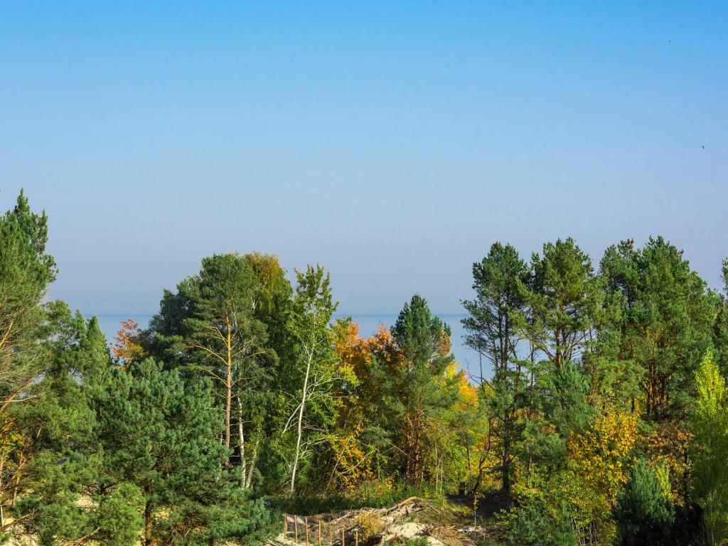 Příroda nedaleko apartmánu