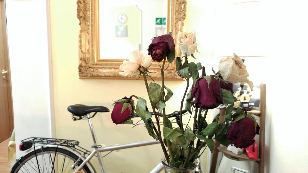 Anar amb bici a Dreaming Navona Rooms o pels voltants