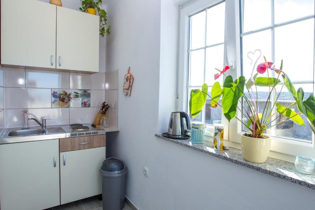 Kuchyň nebo kuchyňský kout v ubytování Apartments Luka