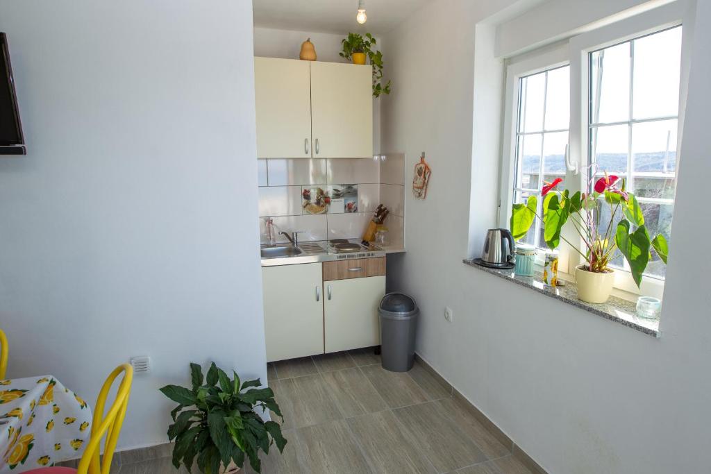 Kuchyň nebo kuchyňský kout v ubytování Apartments Luka