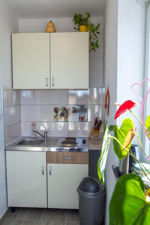 Kuchyň nebo kuchyňský kout v ubytování Apartments Luka