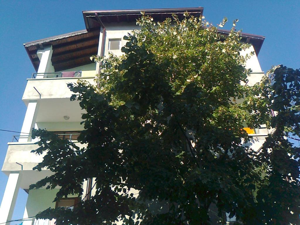 a tree in front of a white building at Stoyanovi Guest House in Chernomorets
