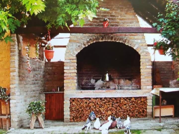 un horno de ladrillo con pollos sentados frente a él en Apartman Kalinka, en Gajić