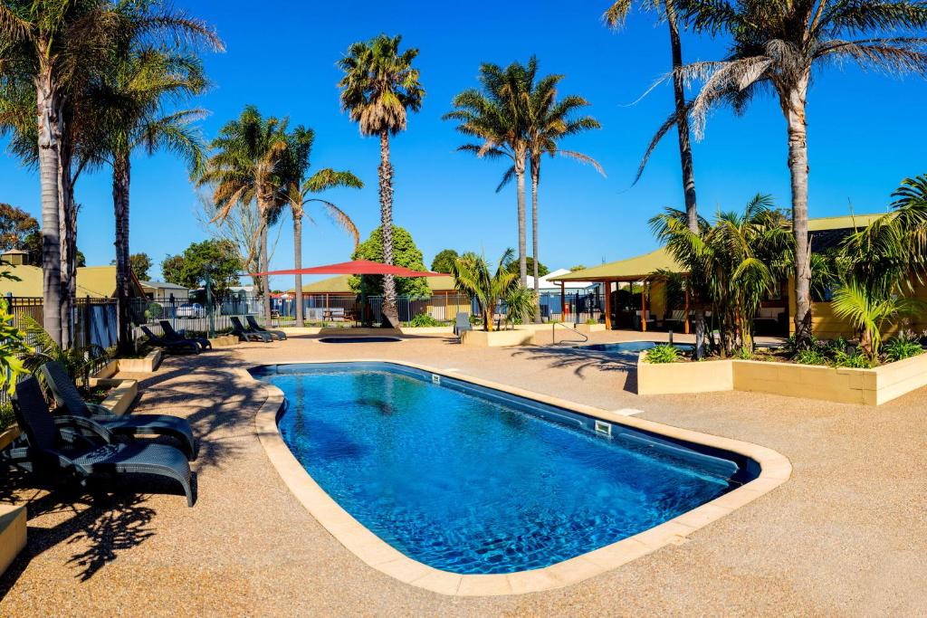 a swimming pool with palm trees in the background at BIG4 Whiters Holiday Village in Lakes Entrance