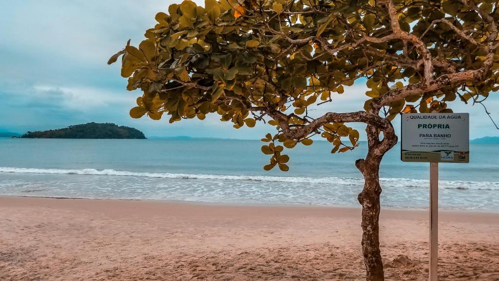 Un árbol en una playa con un cartel. en BECO DOS MILIONÁRIOS, CANAJURÊ, en Florianópolis