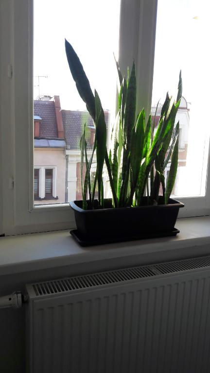 PRZYSTANEK KATOWICE Mariacka 26 - Resim 40