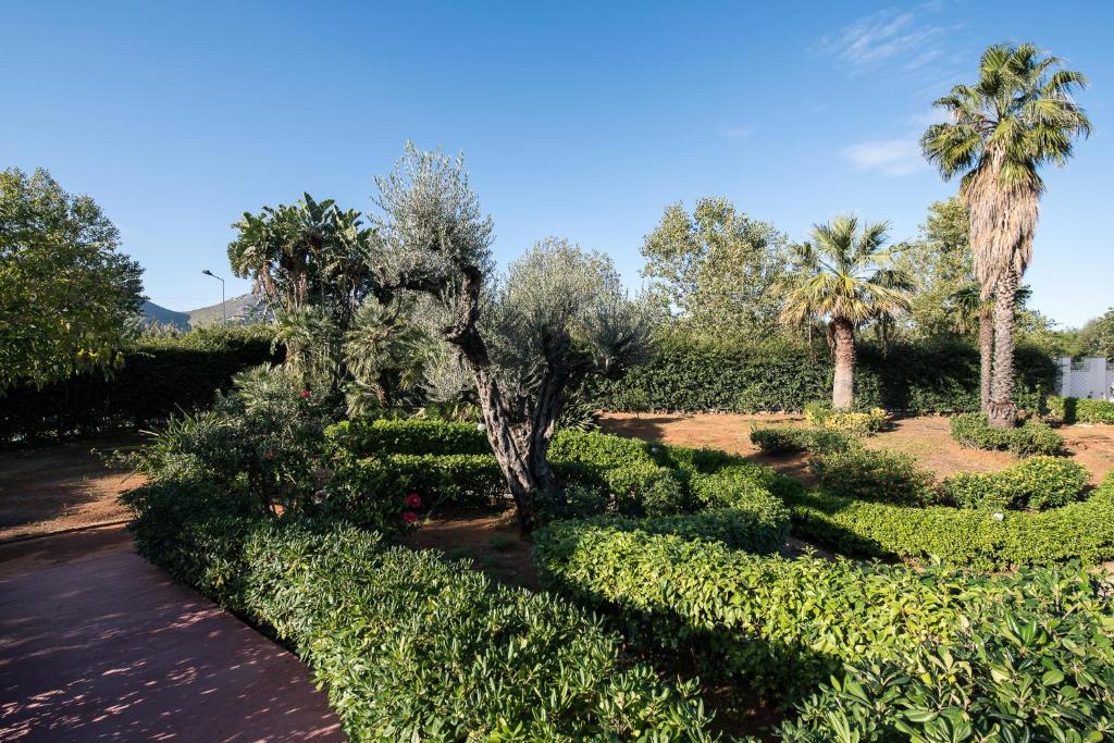 a garden with trees and bushes and palm trees at Il Giardino di Venere in Mondello