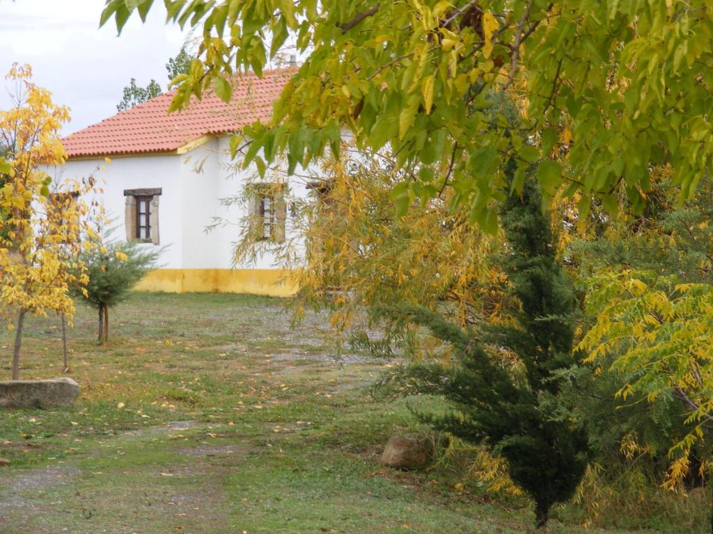 Um jardim no exterior de Quinta dos Trevos - Artes e Ofcios